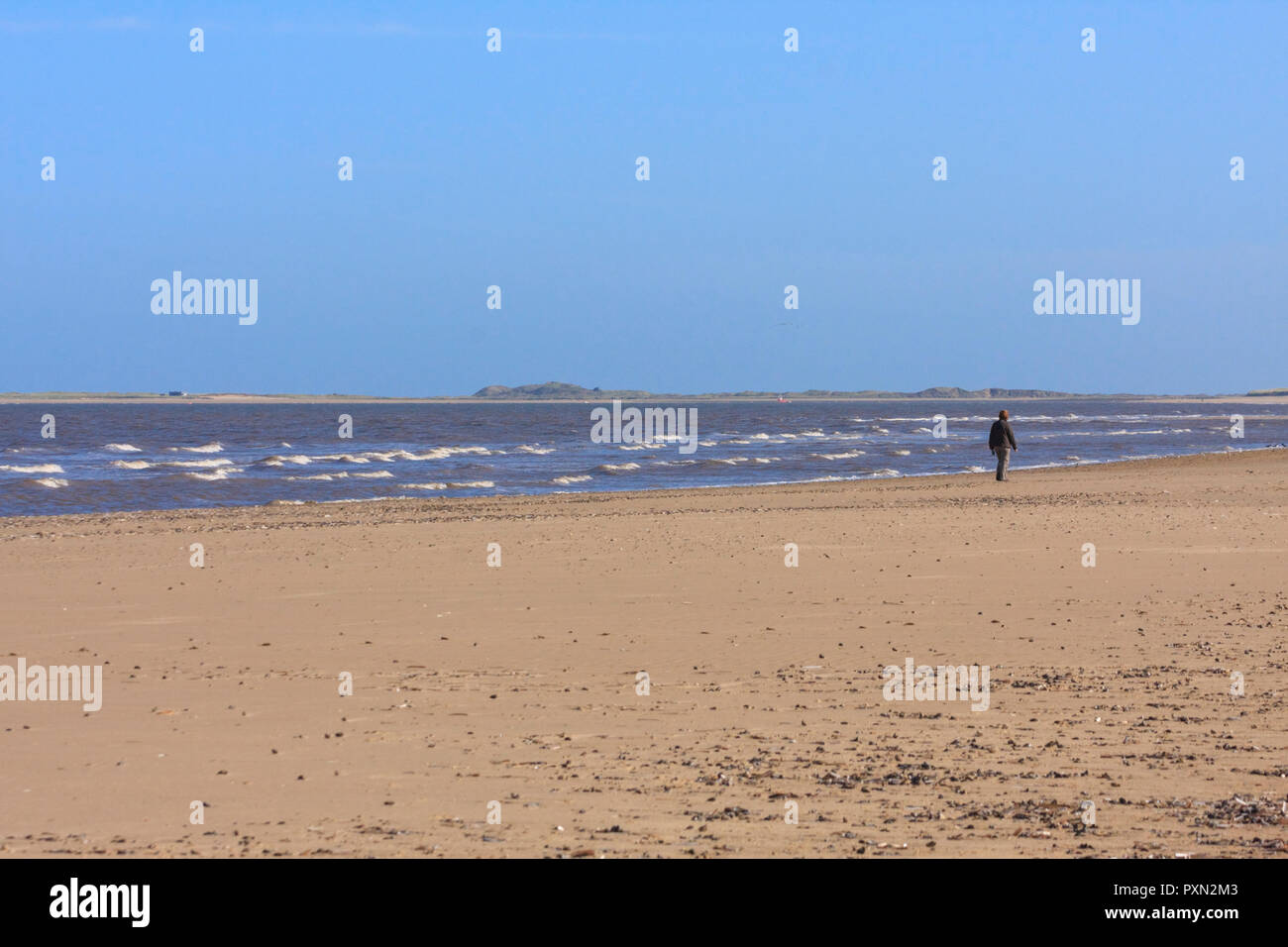 Donna camminare da solo lungo il litorale costiero, Norfolk England Regno Unito Foto Stock