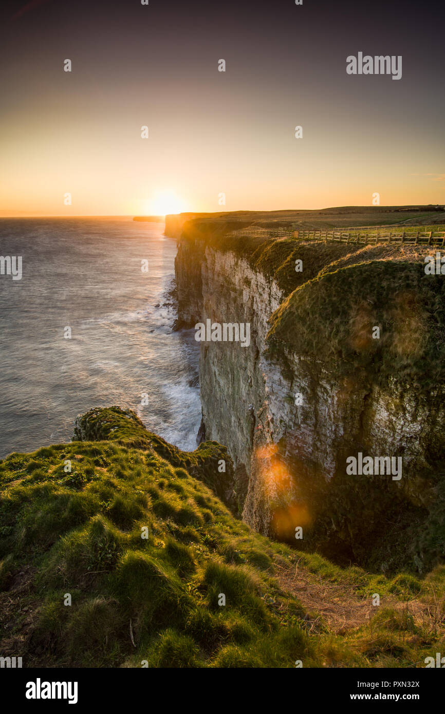 Sunrise in Bempton Cliffs Foto Stock