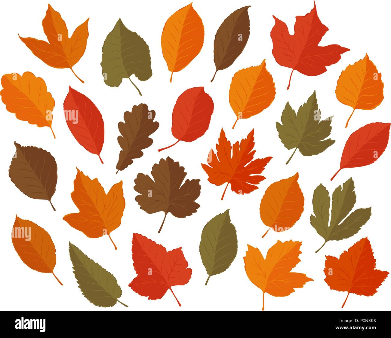 Foglie decorative, set. Autunno, foglia caduta del concetto. Illustrazione Vettoriale Illustrazione Vettoriale