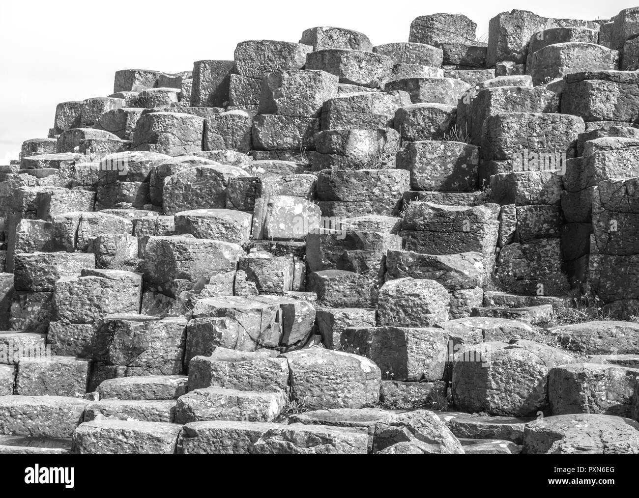 BUSHMILLS, NORTHER IRLANDA - Luglio 13, 2016 Giant's Causeway. Sessanta milioni di anni fa in Antrim è stata oggetto di intense attività vulcanica un questo è il re Foto Stock