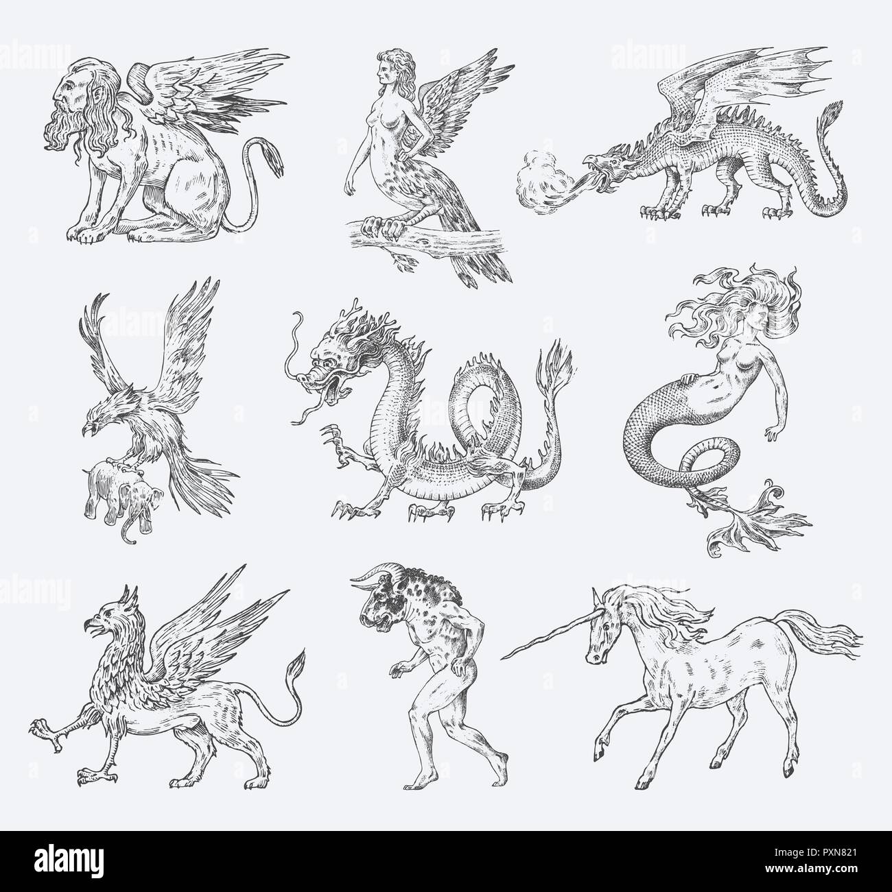 Set di animali mitologici. Mermaid Minotauro Unicorn dragone cinese Cerberus Arpia Sphinx Griffin mitico Basilisco Roc donna Bird. Creature greca. Incisi disegnati a mano vecchi antichi vintage sketch. Illustrazione Vettoriale