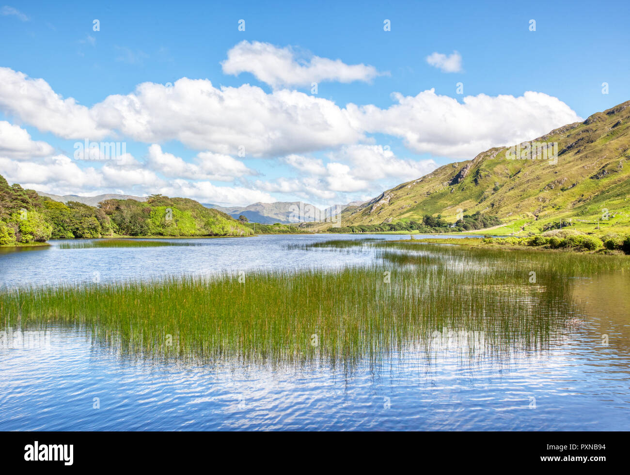Pollacappall Lough in Kylemore area di Connemara nella Contea di Galway, Irlanda. Foto Stock
