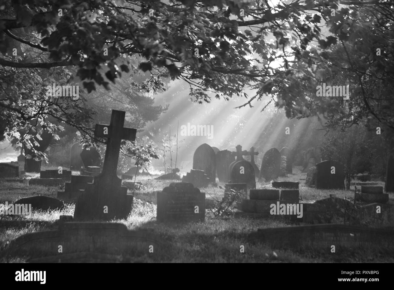 Misty cimitero B&W Foto Stock