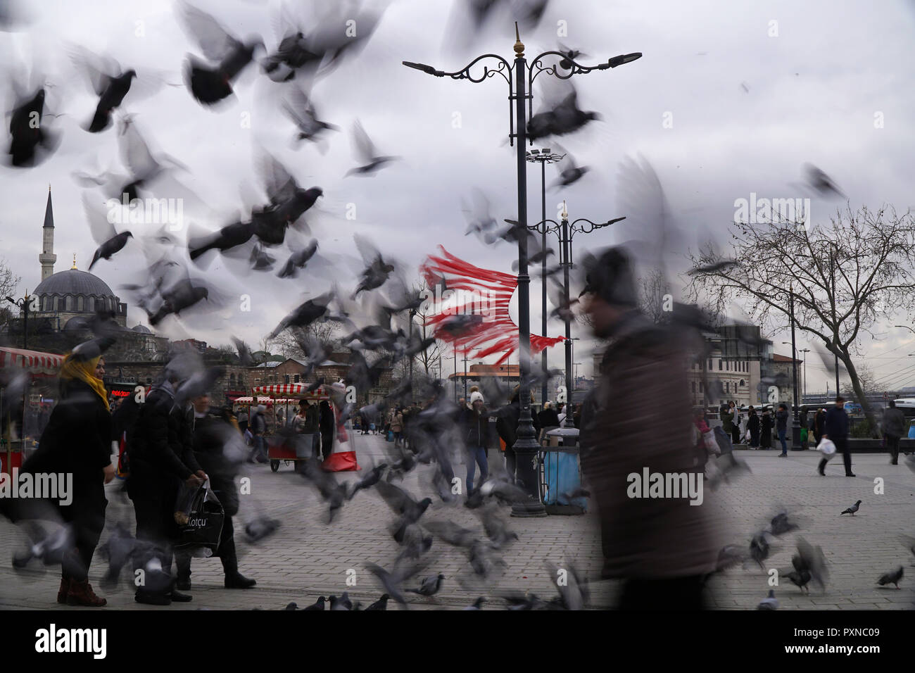 Istanbul, Turchia - 19 Febbraio 2018 : molte persone turche sono passando lontano dalla piazza Eminonu. Un gregge sfocate di piccioni sono battenti. Foto Stock