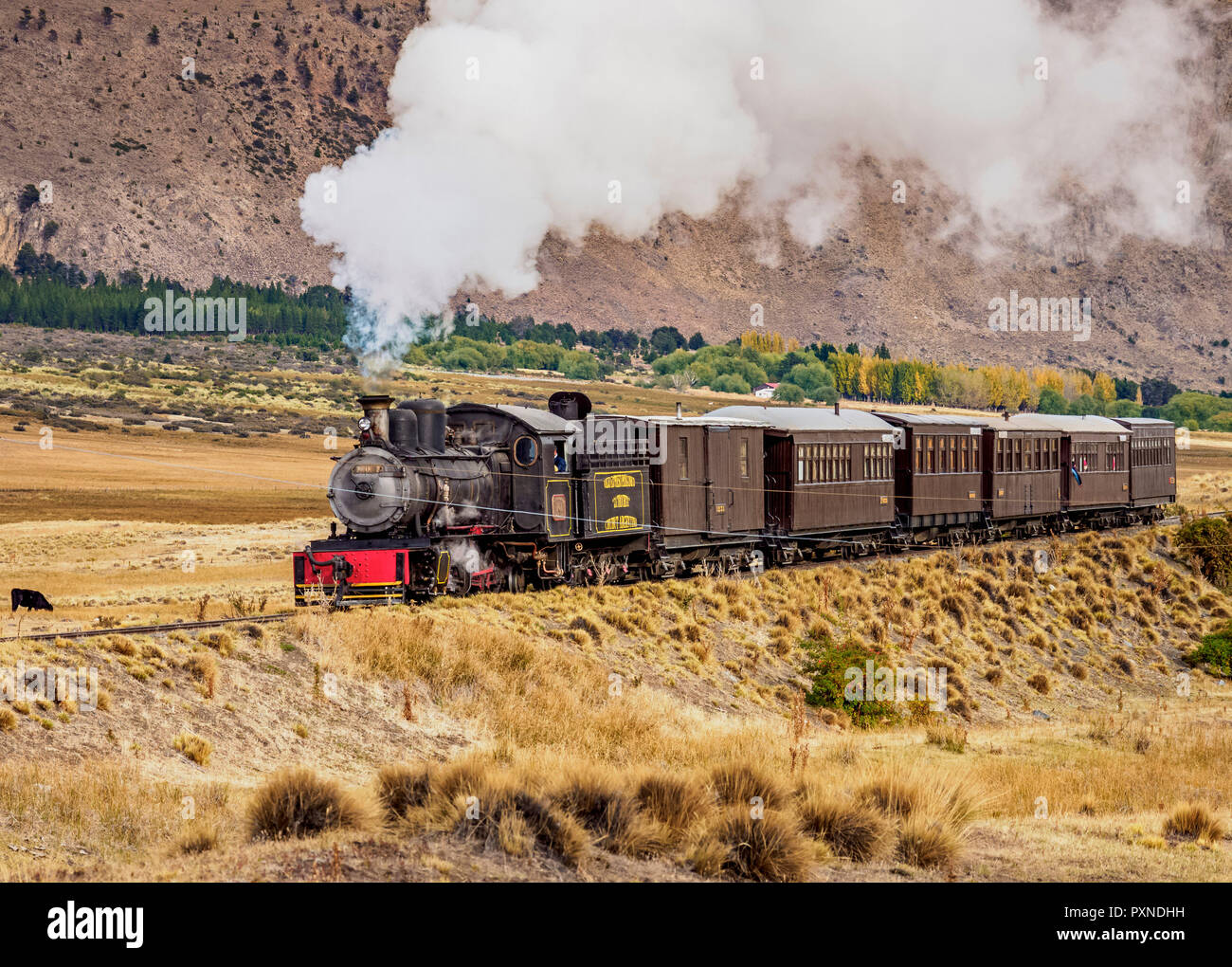 Vecchio nasello di Patagonia Express La Trochita, treno a vapore, Chubut Provincia, Patagonia, Argentina Foto Stock