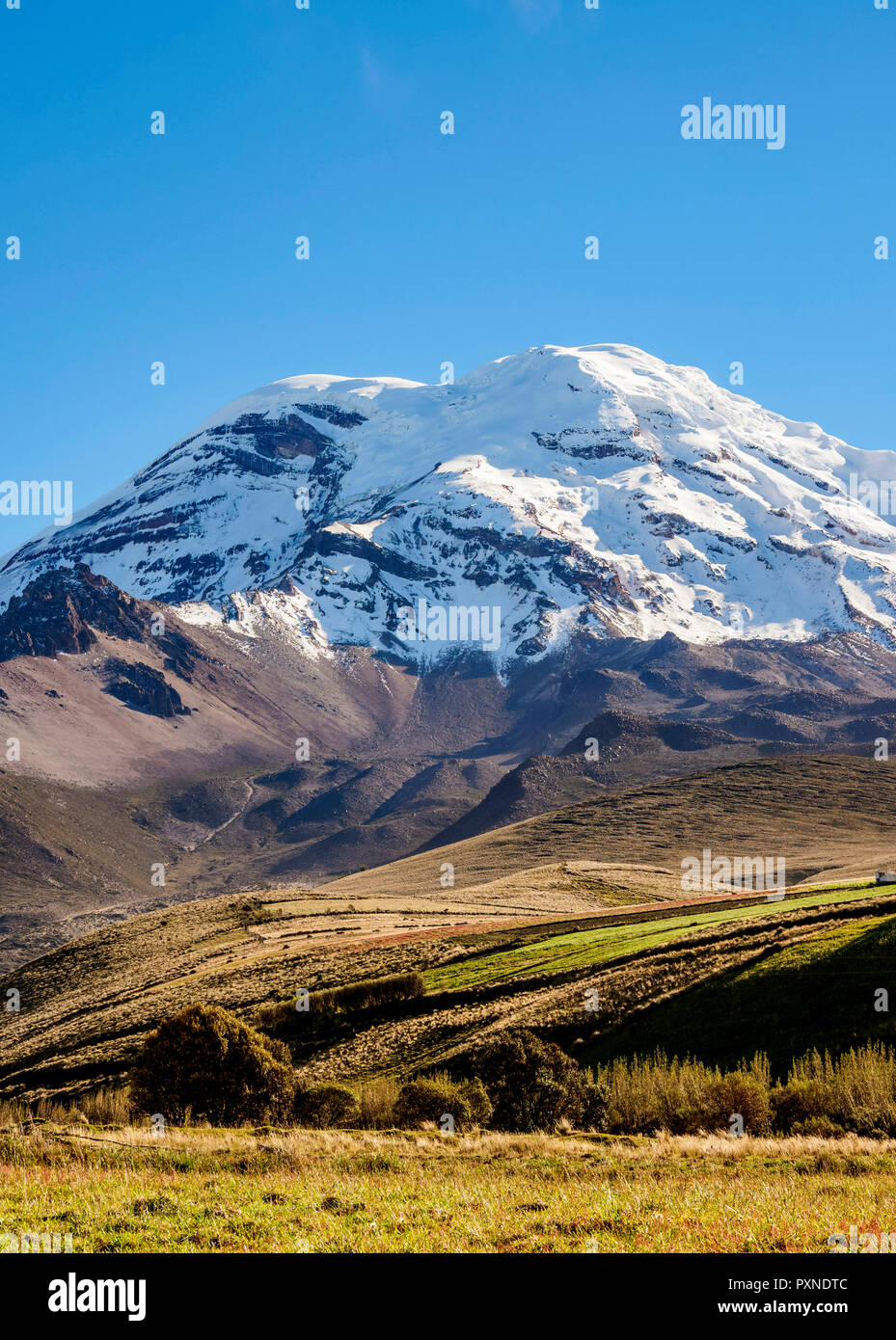 Vulcano Chimborazo, Provincia del Chimborazo, Ecuador Foto Stock