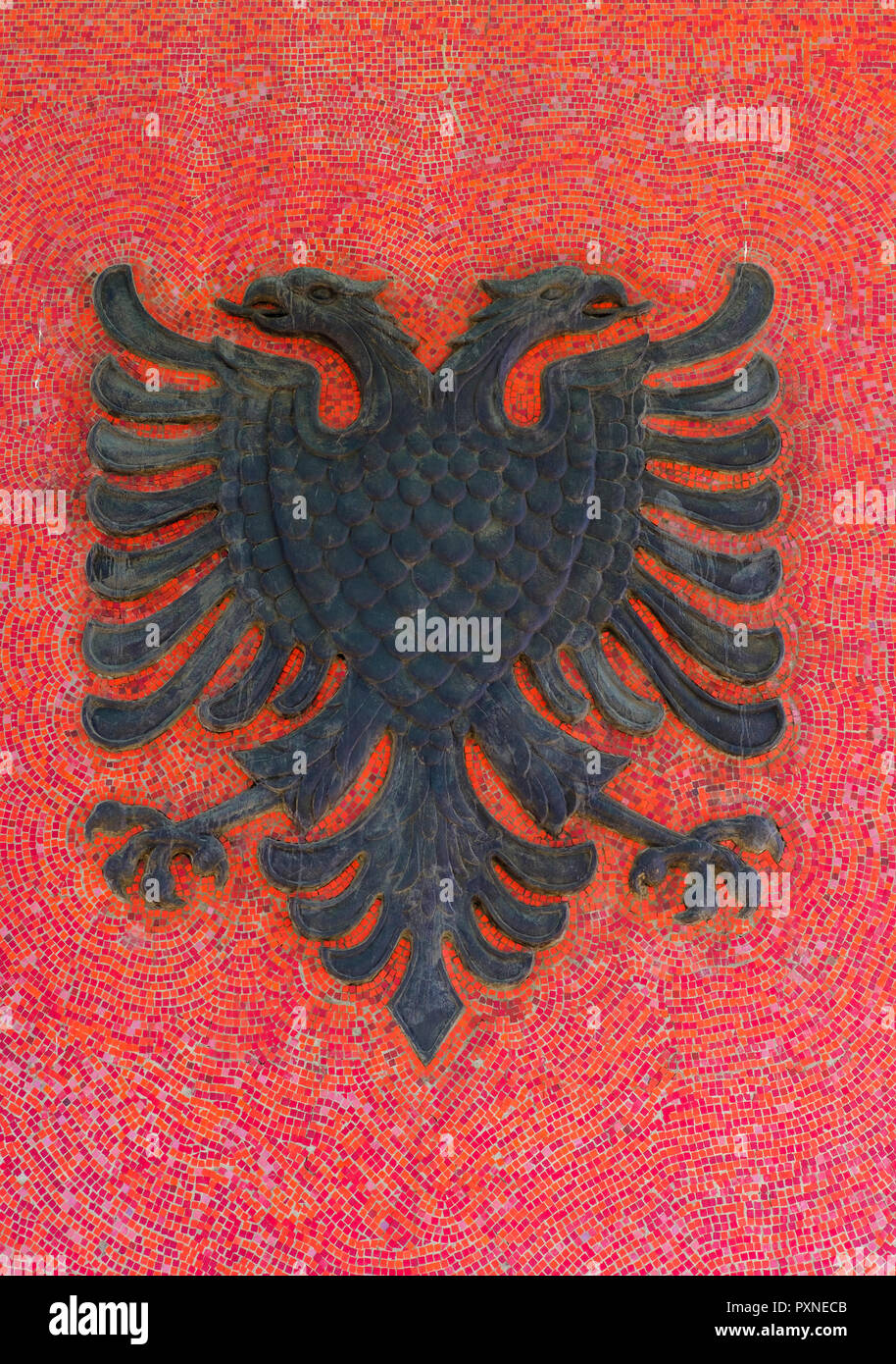 Albania, Lezhe, animale araldico, double eagle Foto Stock