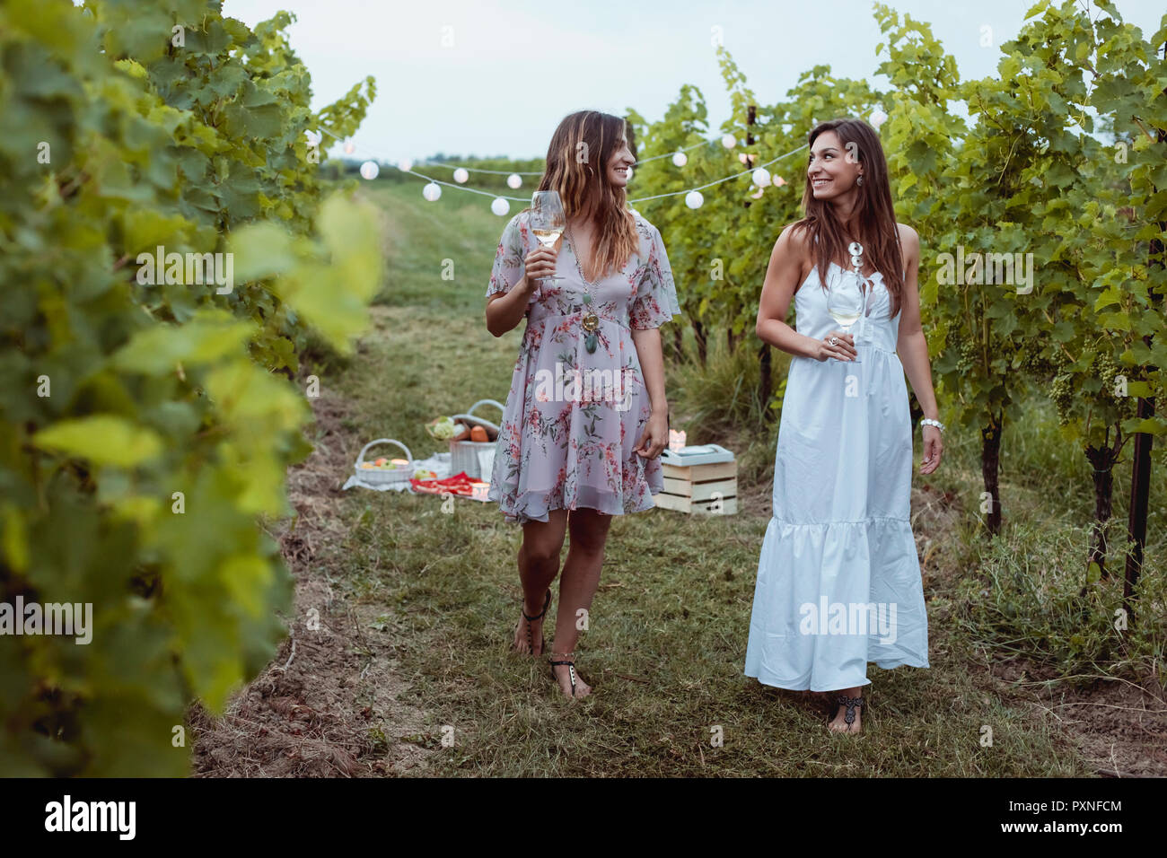 Giovani donne walkig in vigneto, avente un picnic, bere vino Foto Stock