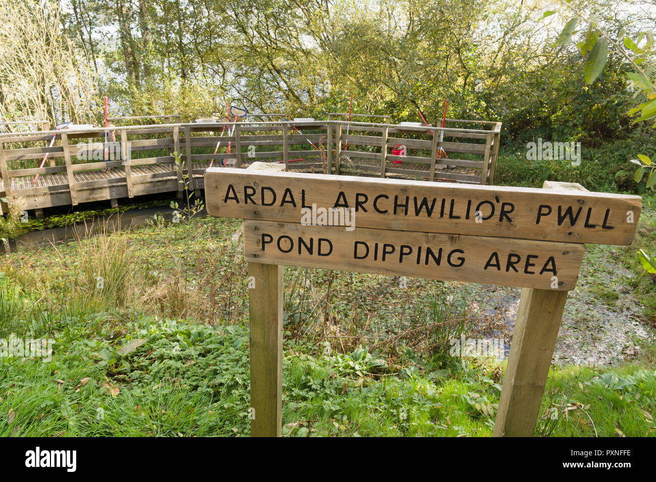 Lo stagno zona di immersione a Llyn Brenig serbatoio del centro visitatori gestito da Dwr Cymru o acqua Gallese Foto Stock