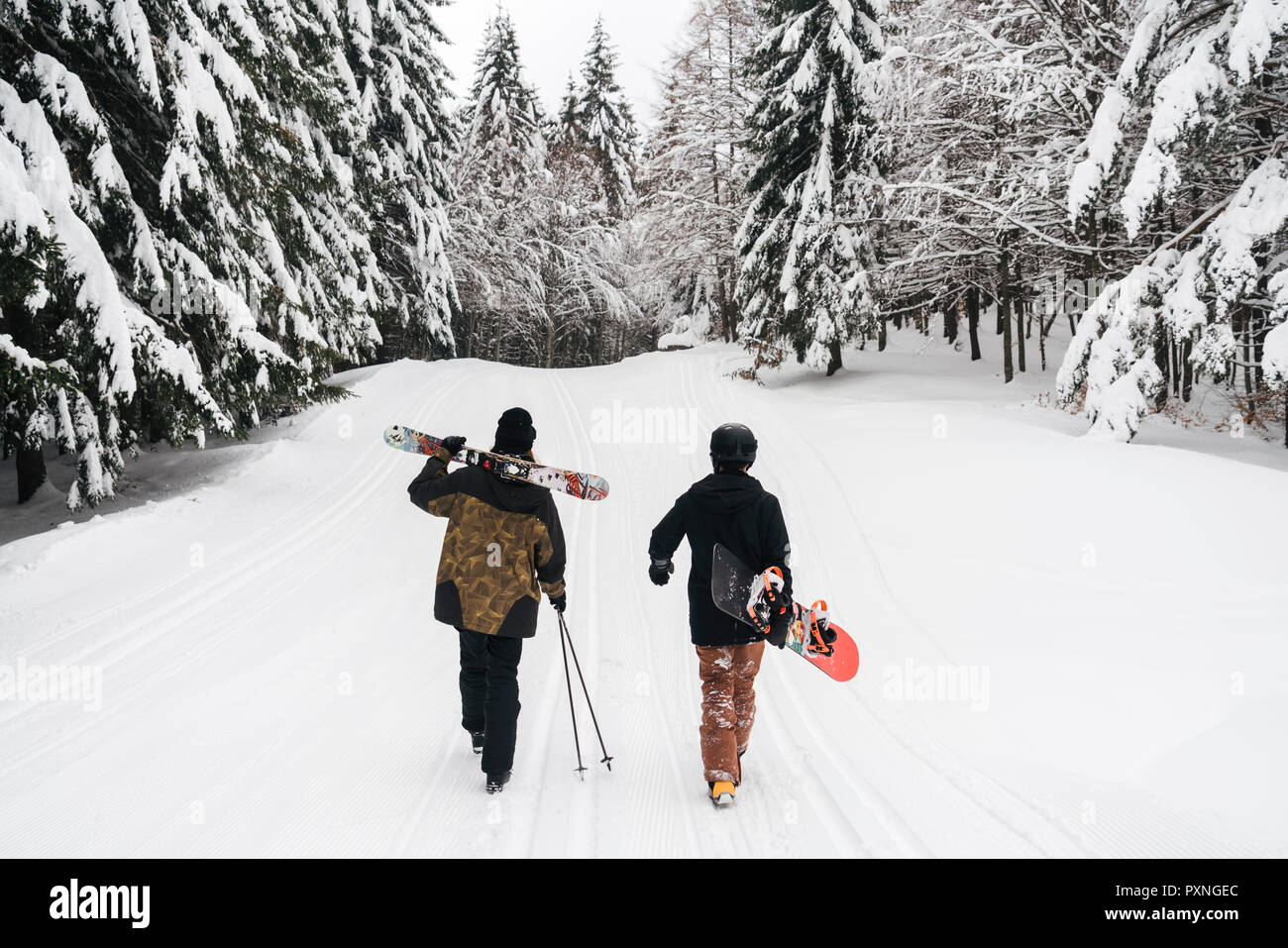 L'Italia, Modena, Cimone, vista posteriore del giovane con sci e snowboard e passeggiate nella foresta di inverno Foto Stock
