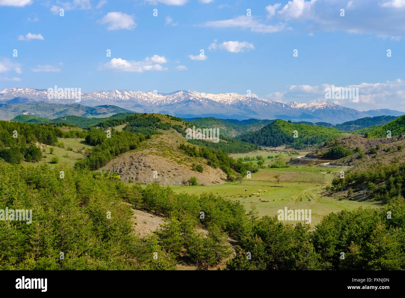Albania, Qark Korca, montagne di Pindo in background Foto Stock