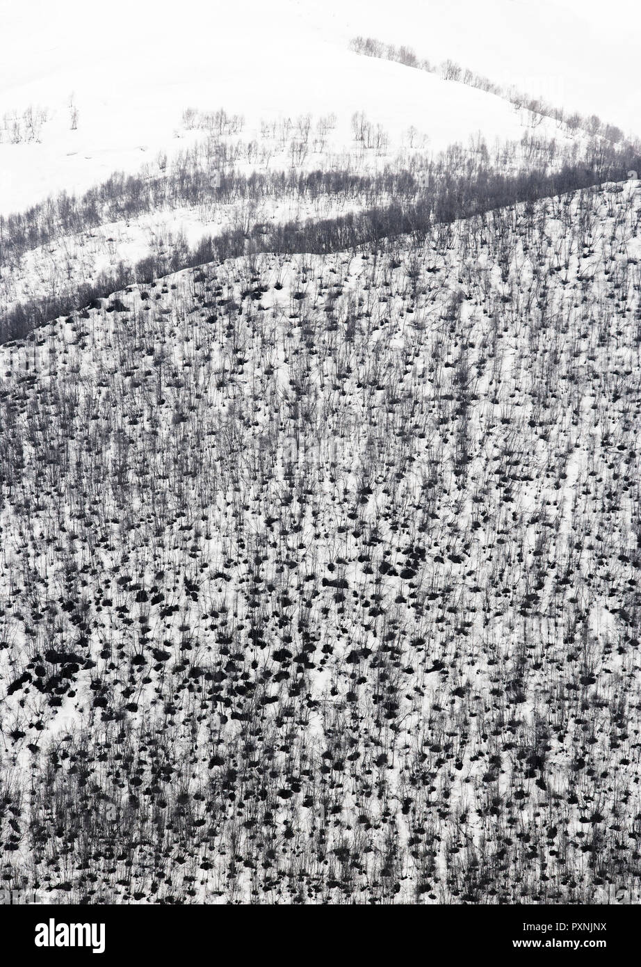 La Georgia, Ushguli, Caucaso maggiore coperto di neve Foto Stock