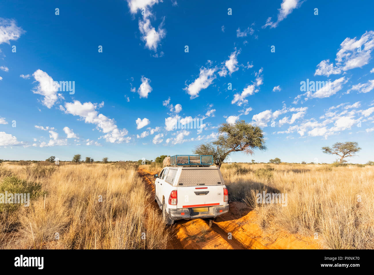 Africa, Botswana, Kgalagadi Parco transfrontaliero, Mabuasehube Game Reserve, veicolo fuoristrada sulla pista di sabbia Foto Stock