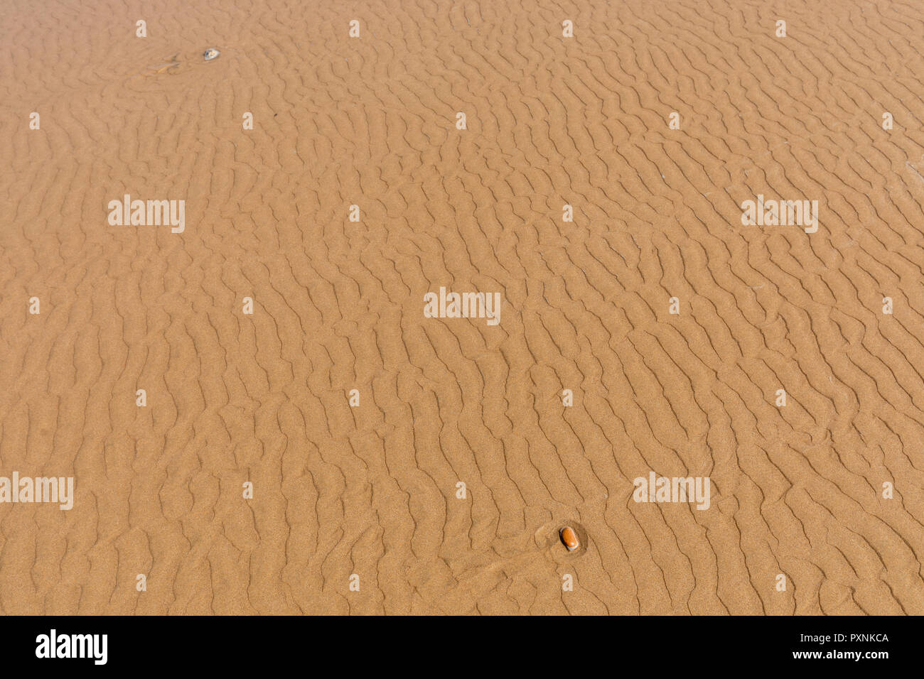 Il Marocco, rippel segna nella sabbia Foto Stock