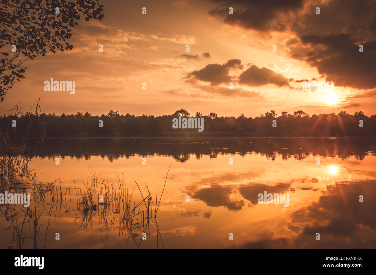 Tramonto su un fiume delta in autunno. Serata autunnale paesaggio con un lago circondato da canneti e paglia Foto Stock