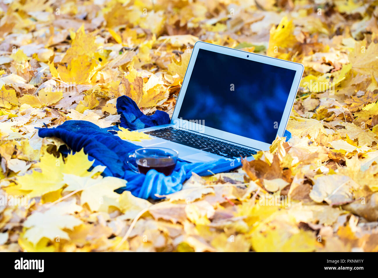 Aperto portatile in alluminio e in autunno sfondo con foglie cadute di messa a fuoco selezionata Foto Stock