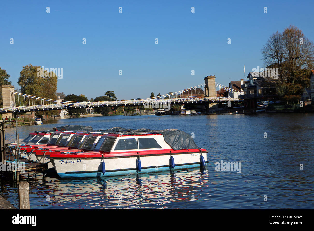Una fila di barche sul Tamigi su Marlow con Marlow Bridge in background Foto Stock