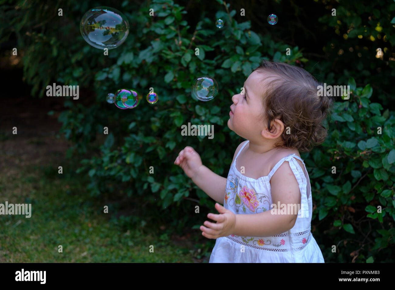 Baby girl guardando battenti bolle di sapone in giardino Foto Stock