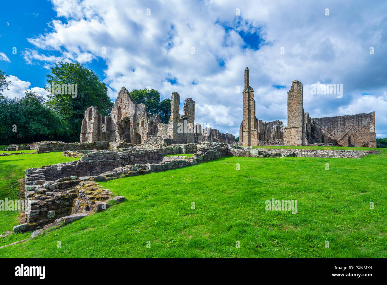 Finchale Priory, Durham, England, Regno Unito, Europa Foto Stock