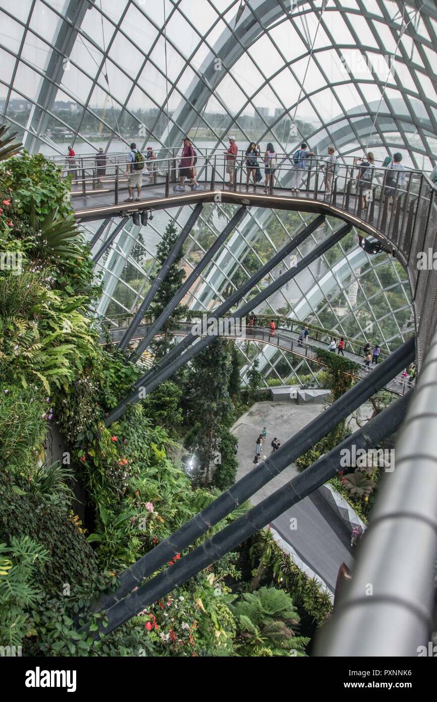 SINGAPORE (18 giugno 2017) i marinai e i turisti a piedi attraverso il ponticello del cielo durante il maestoso giardino tour offerti dalla morale, benessere, ricreazione (MWR) durante la marina è distribuita portaerei USS Ronald Reagan (CVN 76), porto visita a Singapore. Il maestoso giardino aperto nel giugno 2012, e si estende su 100 ettari che contengono due conservatori, clima controllato serre per interni e giardini verticali fino a 50 metri di altezza che agiscono come un condotto distributore automatico per il parco nei conservatori. Ronald Reagan, il portabandiera del Carrier Strike gruppo 5, fornisce un combattimento-pronto forza che proteggere Foto Stock SINGAPORE (18 giugno 2017) i marinai e i turisti a piedi attraverso il ponticello del cielo durante il maestoso giardino tour offerti dalla morale, benessere, ricreazione (MWR) durante la marina è distribuita portaerei USS Ronald Reagan (CVN 76), porto visita a Singapore. Il maestoso giardino aperto nel giugno 2012, e si estende su 100 ettari che contengono due conservatori, clima controllato serre per interni e giardini verticali fino a 50 metri di altezza che agiscono come un condotto distributore automatico per il parco nei conservatori. Ronald Reagan, il portabandiera del Carrier Strike gruppo 5, fornisce un combattimento-pronto forza che proteggere Foto Stock