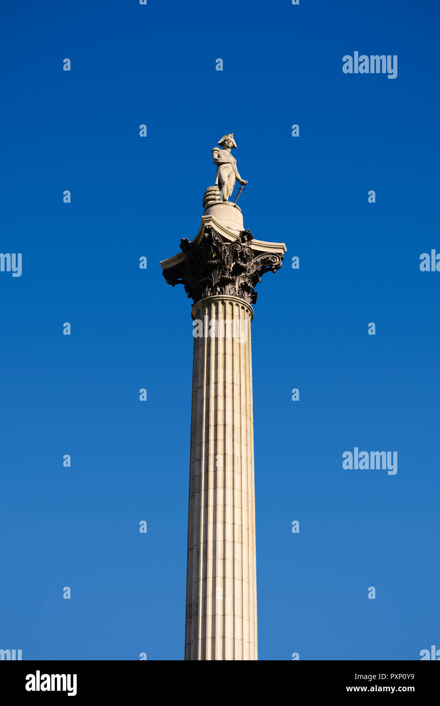 Nelsons Column, Trafalgar Square, London, England, Regno Unito Foto Stock