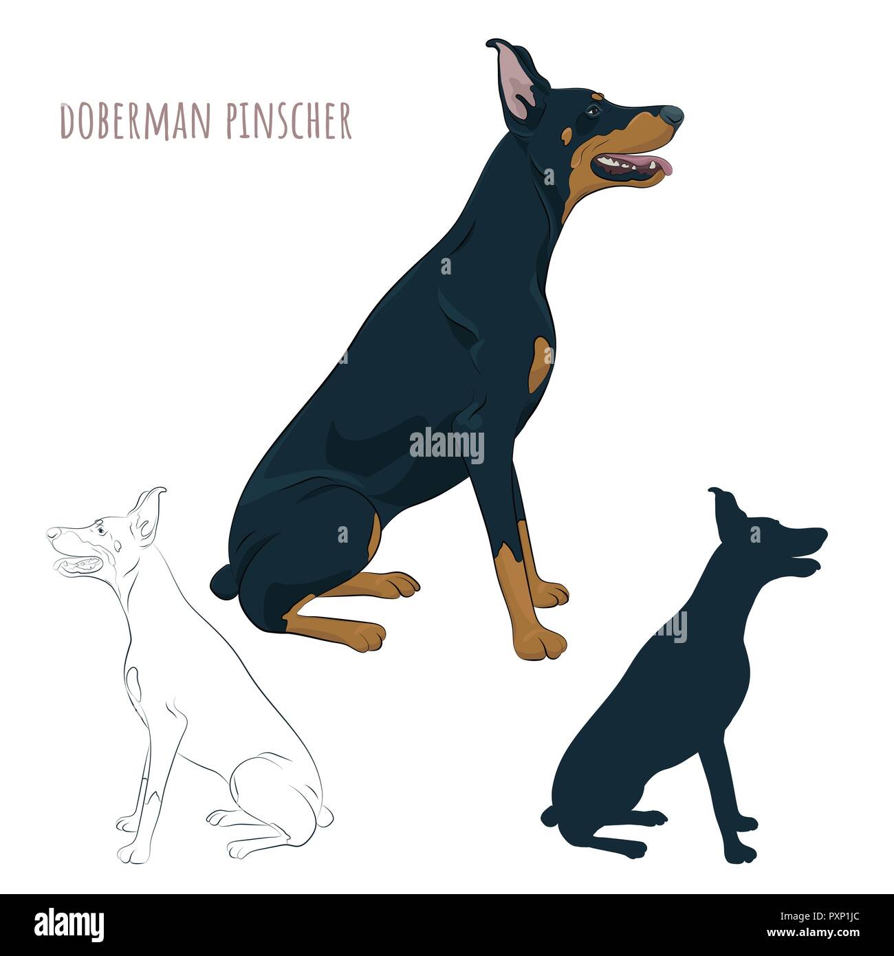 Dobermann seduta isolato su sfondo bianco. Silhouette di seduta cane.Dobermann seduto e ansimando con la lingua di fuori. Il watchdog per il tuo des Illustrazione Vettoriale