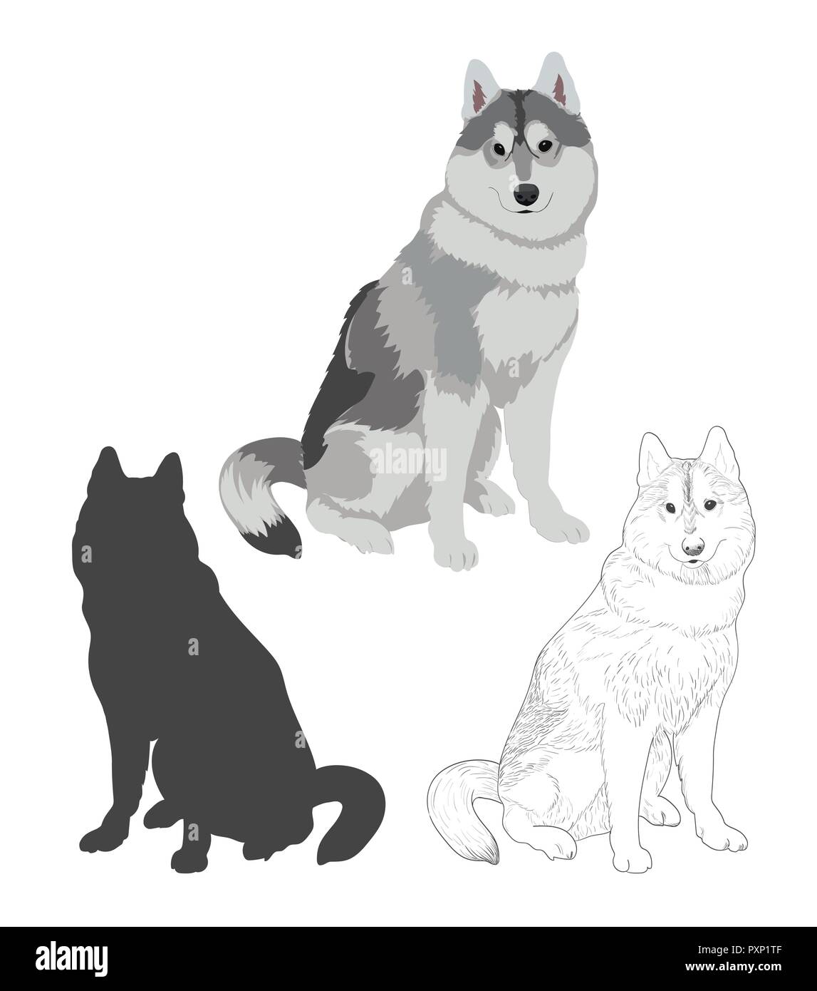 Cani Husky in tre differenti stili. Cane di razza seduta isolato su sfondo bianco. Illustrazione Vettoriale