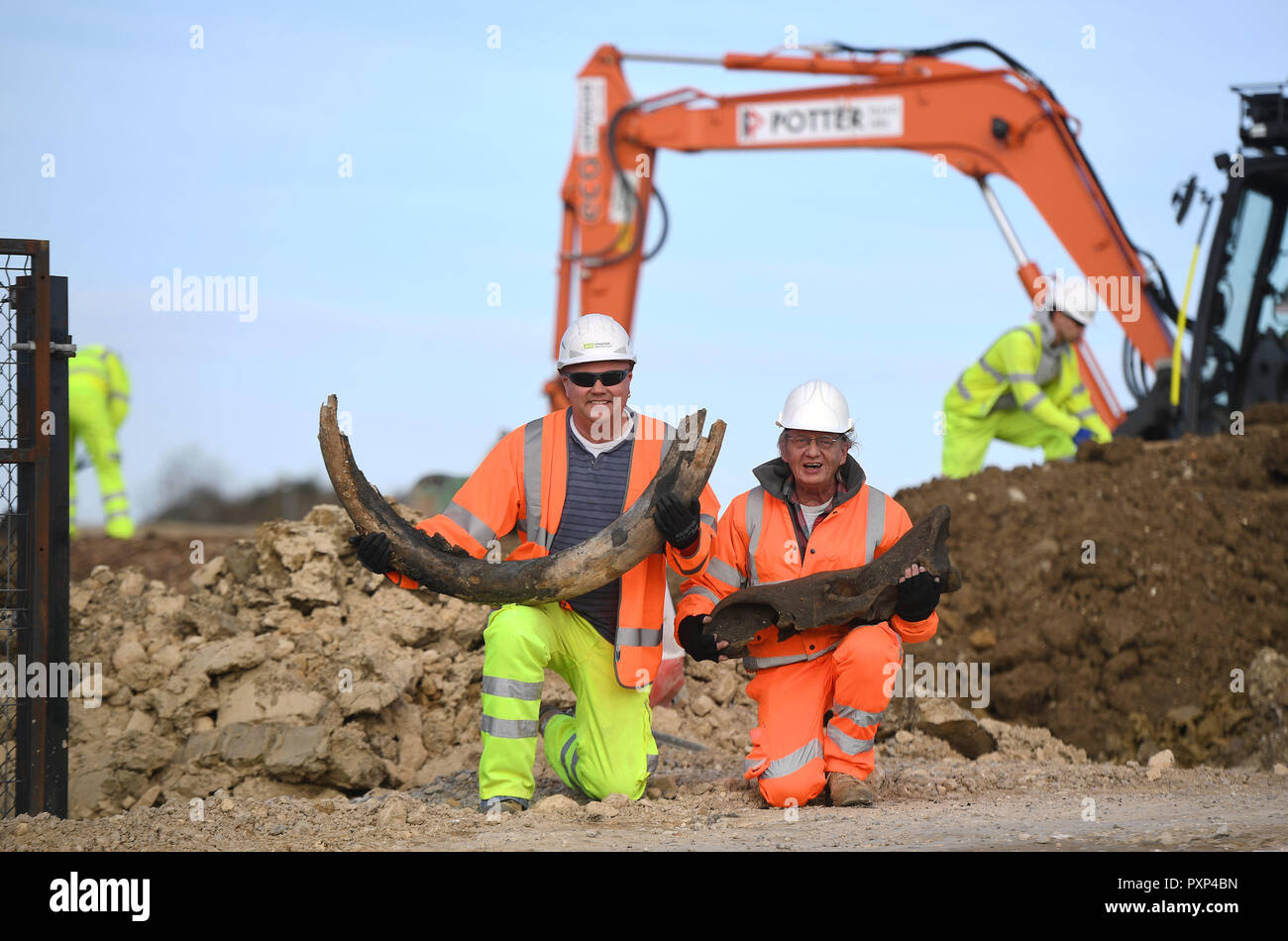 Escavatore operatore macchina Darren Hickman (sinistra) e la mola archeologo capezzagna Bill Boismier tenere la zanna di mammut lanosi e il cranio di un rhino, credeva di essere intorno a 130.000 anni, che sono stati trovati durante il lavoro sulla A14 regime di miglioramento tra Cambridge e di Huntingdon. Foto Stock
