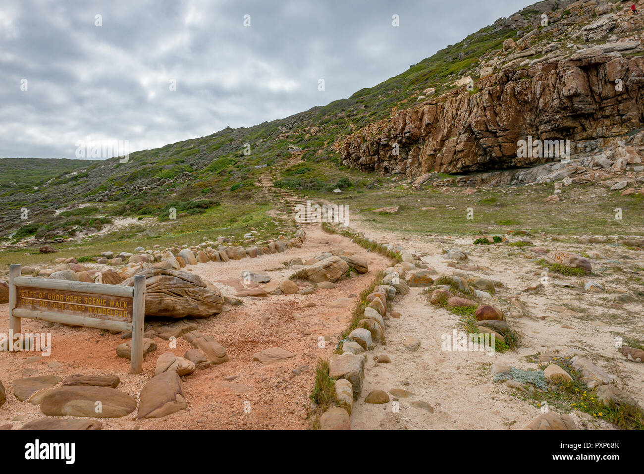 Capo di Buona Speranza, Sud Africa Foto Stock