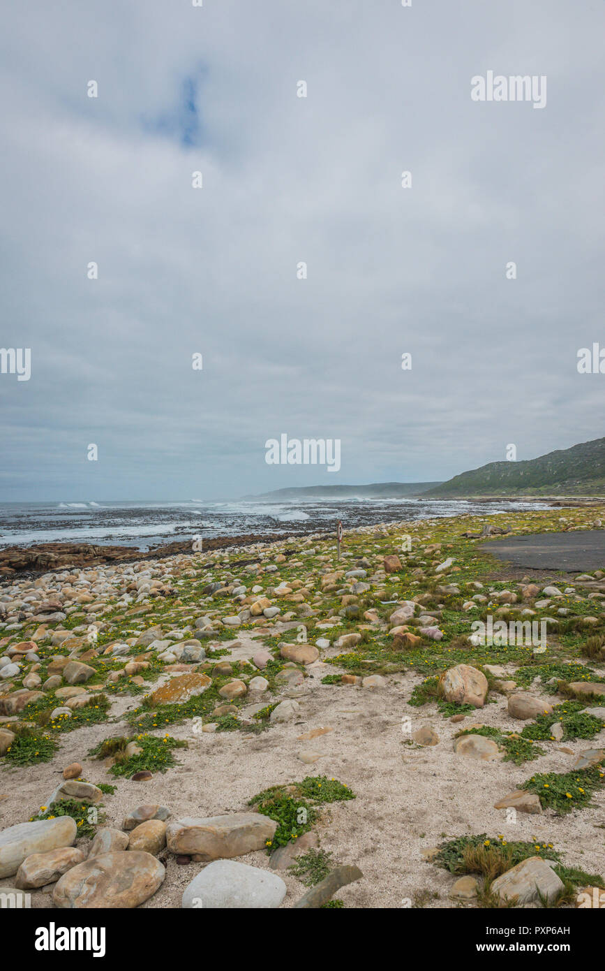 Capo di Buona Speranza, Sud Africa Foto Stock