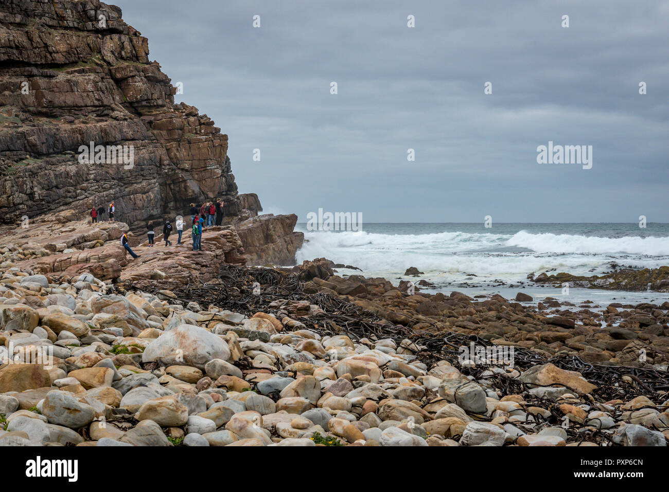 Capo di Buona Speranza, Sud Africa Foto Stock