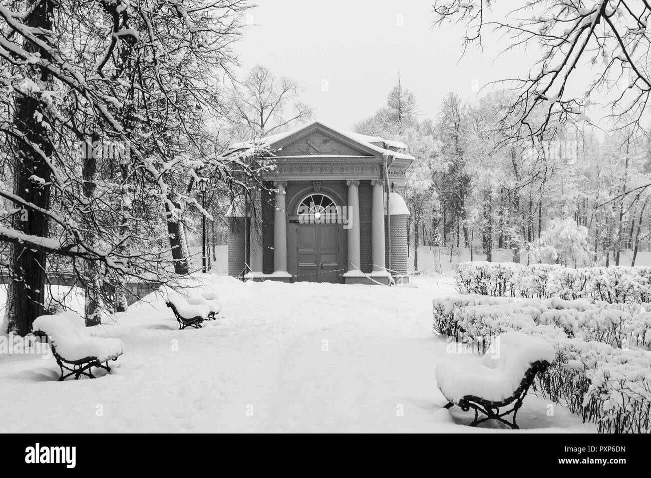 Sera frosty winter park. La brina mattutina. Neve invernale da favola Foto Stock