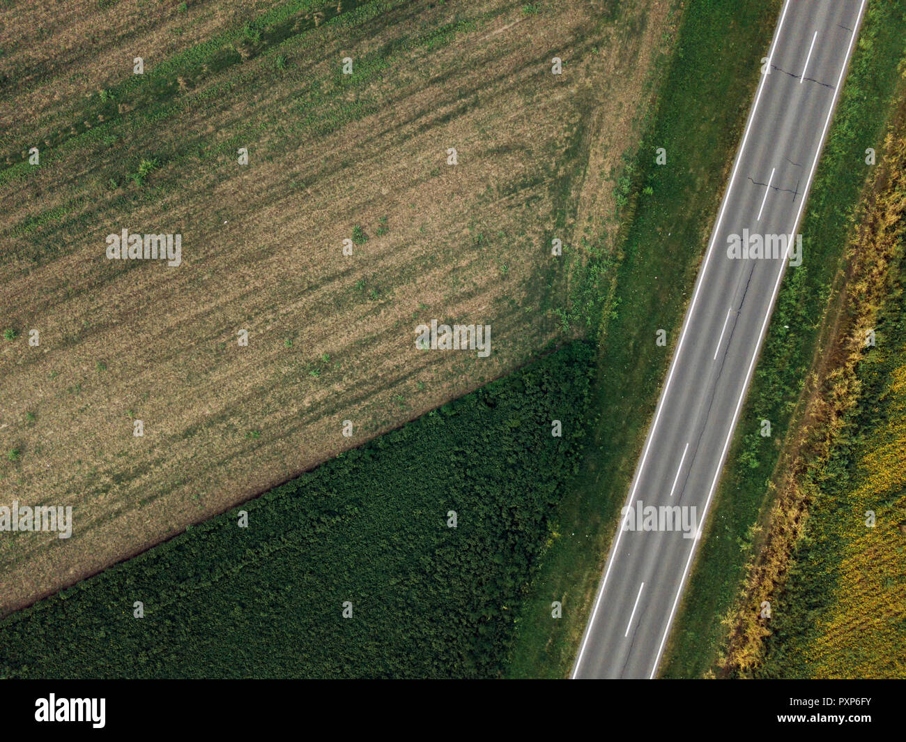 Drone fotografia di strada vuota attraverso la pianura paesaggio di campagna, vista aerea di due lane carreggiata direttamente dal di sopra Foto Stock