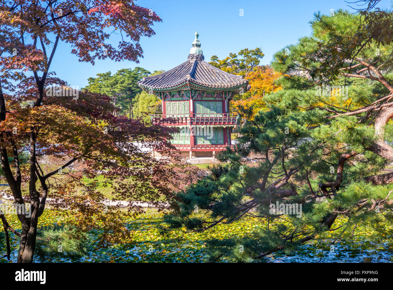 Hyangwonjeong Pavilion di Gyeongbokgung, Seoul Foto Stock