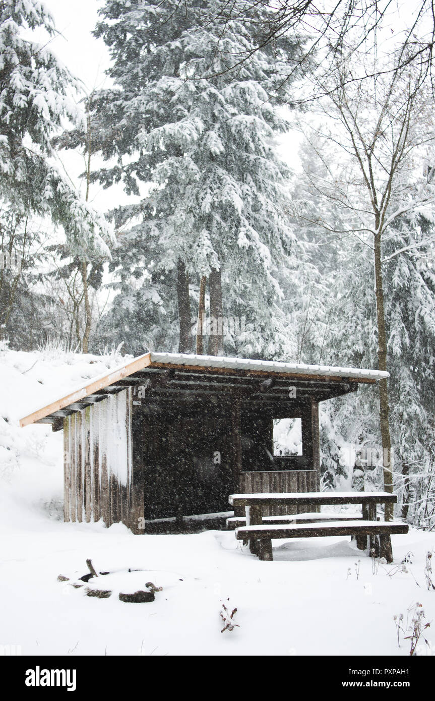 Coperta di neve rustico log cabin nascosto tra gli alberi della foresta nera, Germania Foto Stock