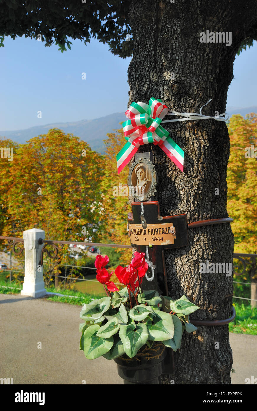 Bassano del Grappa,Veneto, Italia. Commemorazione del 31 partigiani impiccati dai nazisti per gli alberi di oggi del Viale dei Martiri. Foto Stock