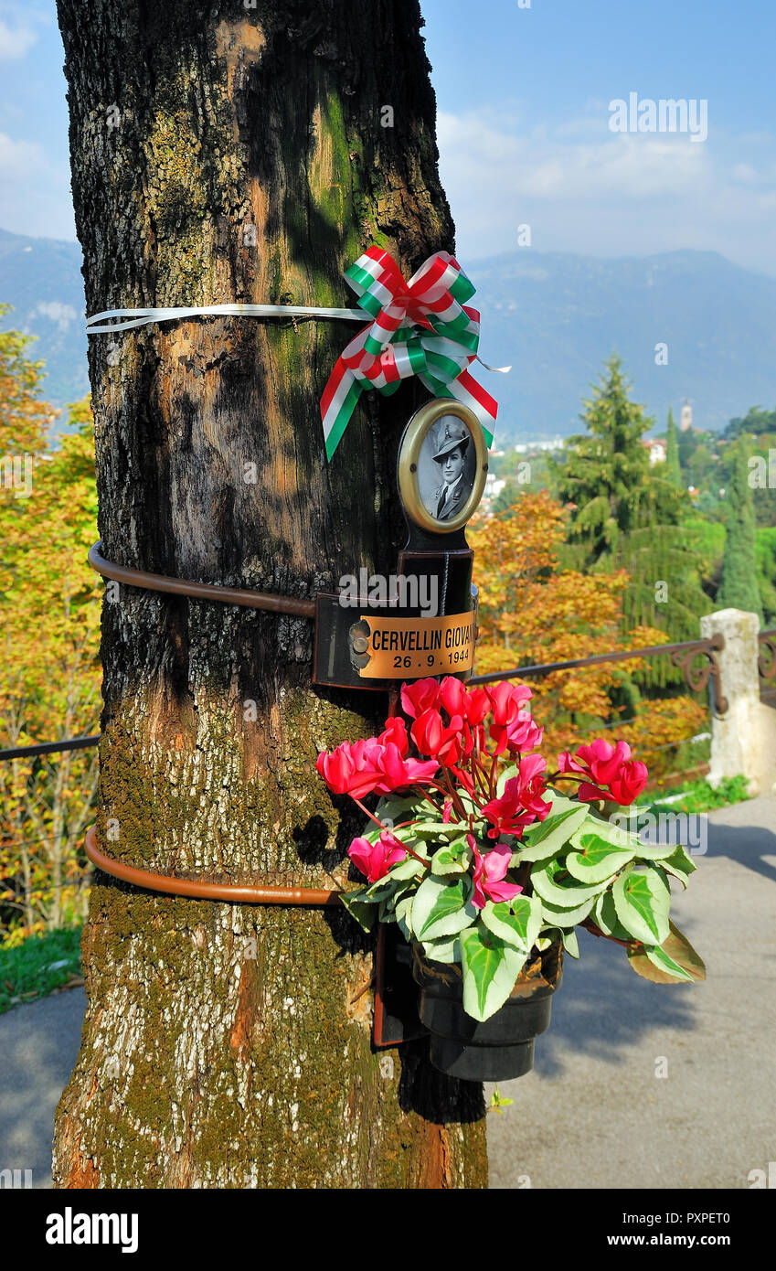 Bassano del Grappa,Veneto, Italia. Commemorazione del 31 partigiani impiccati dai nazisti per gli alberi di oggi del Viale dei Martiri. Foto Stock