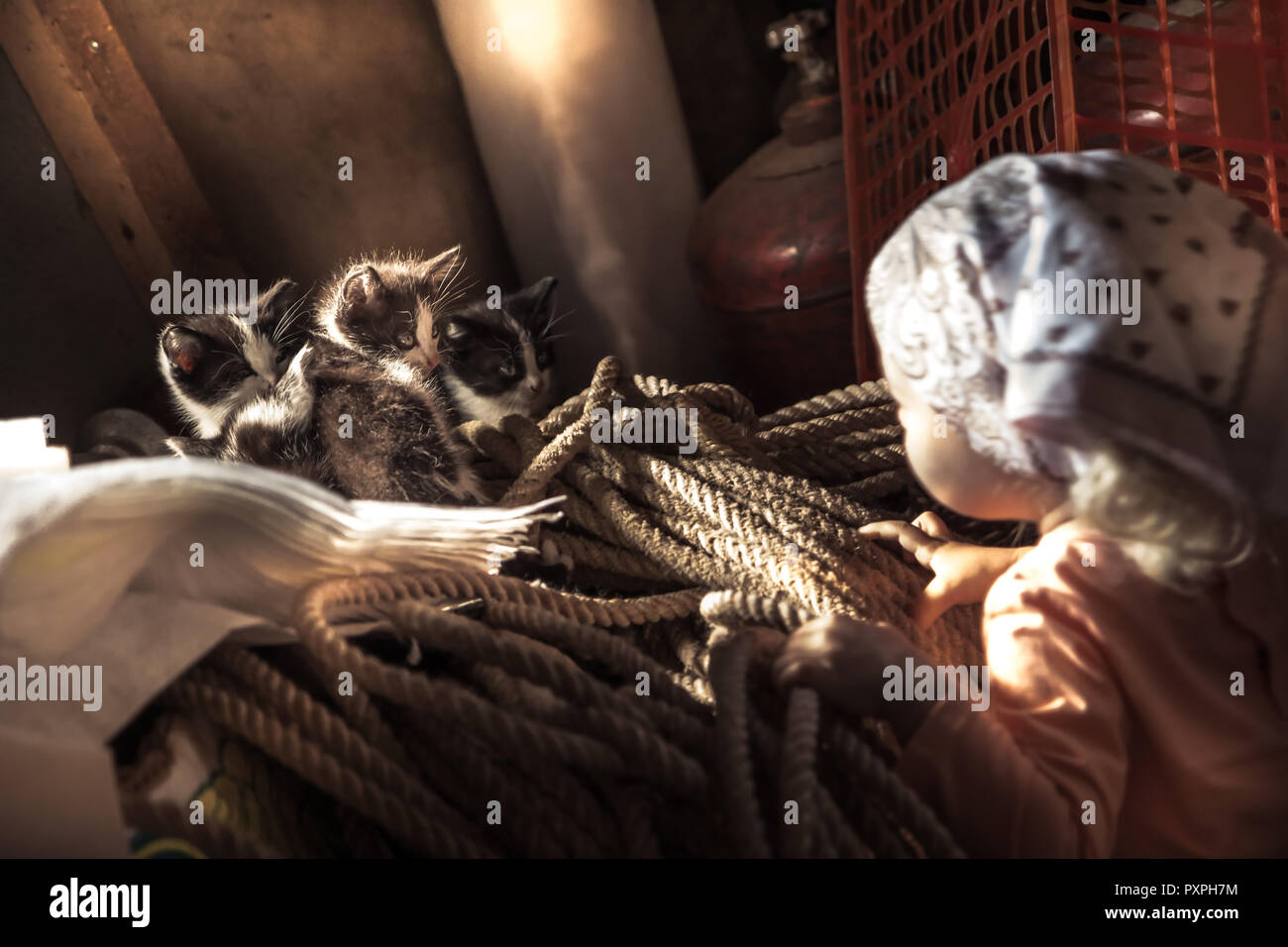 Curioso kid giocando pet gattini nel fienile nozione di campagna animali pet care Foto Stock