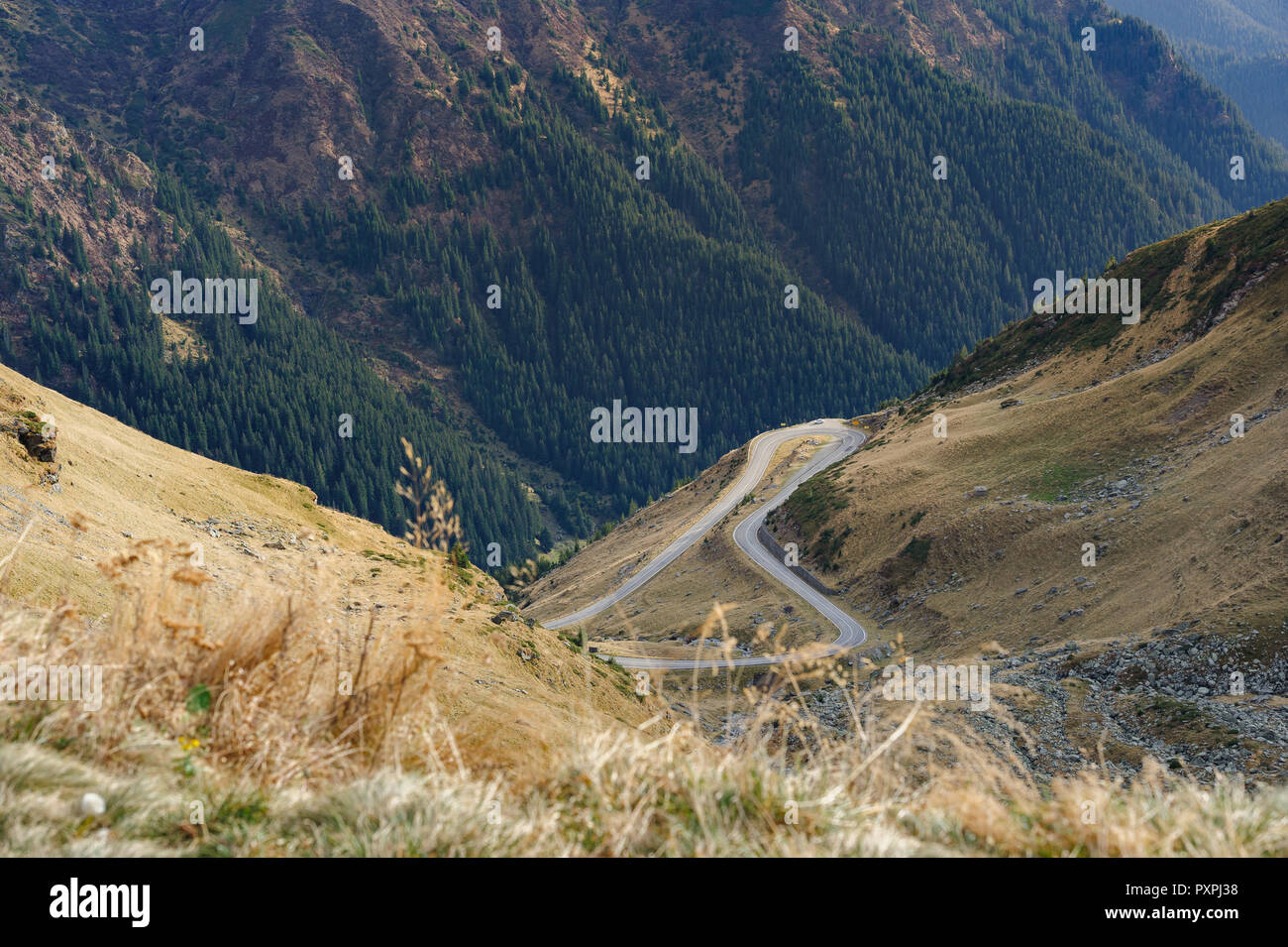 Transfagarasan strada di montagna Foto Stock