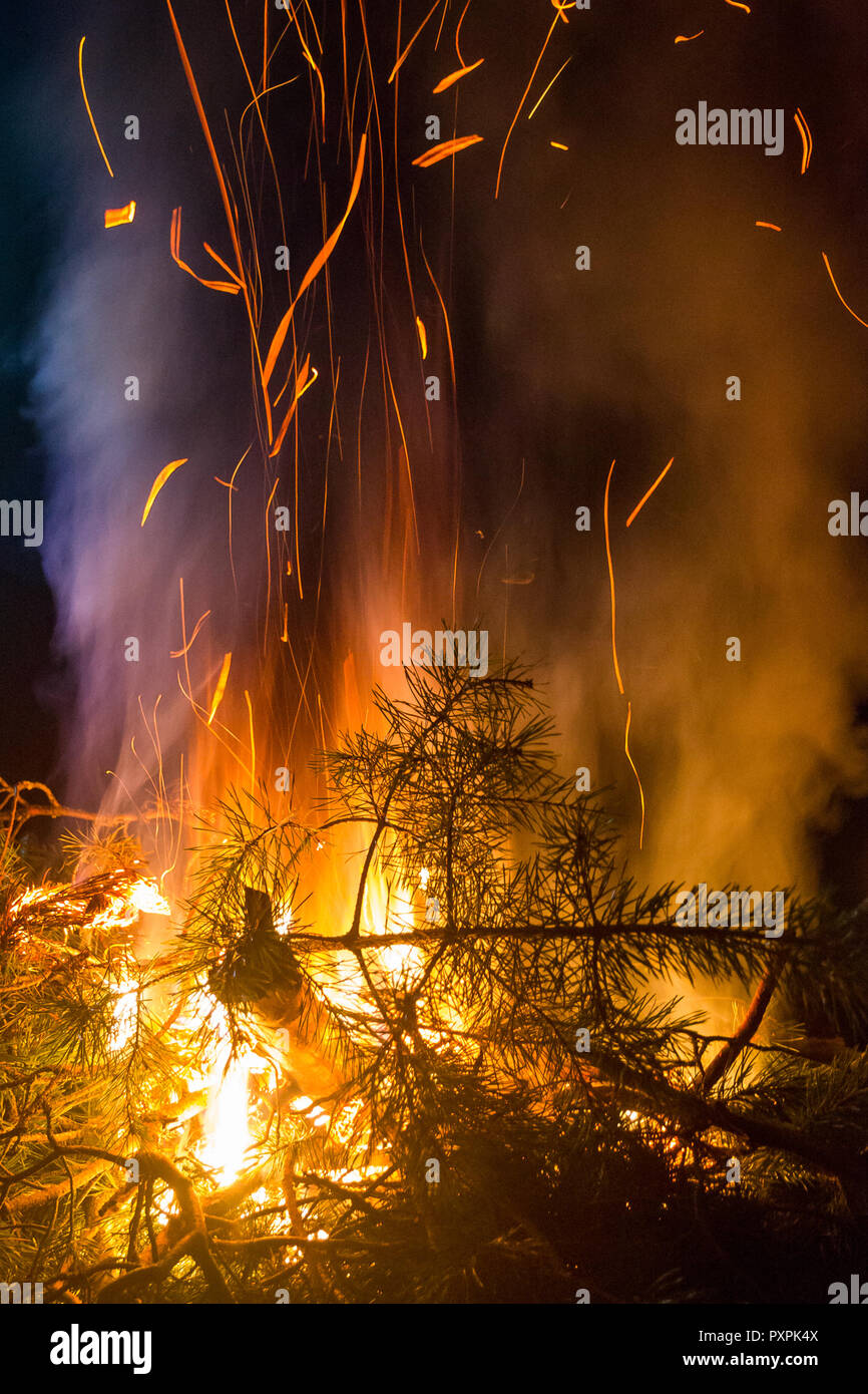 La masterizzazione di rami di pino notte Campfire scintille volanti fiamme e fumo Foto Stock