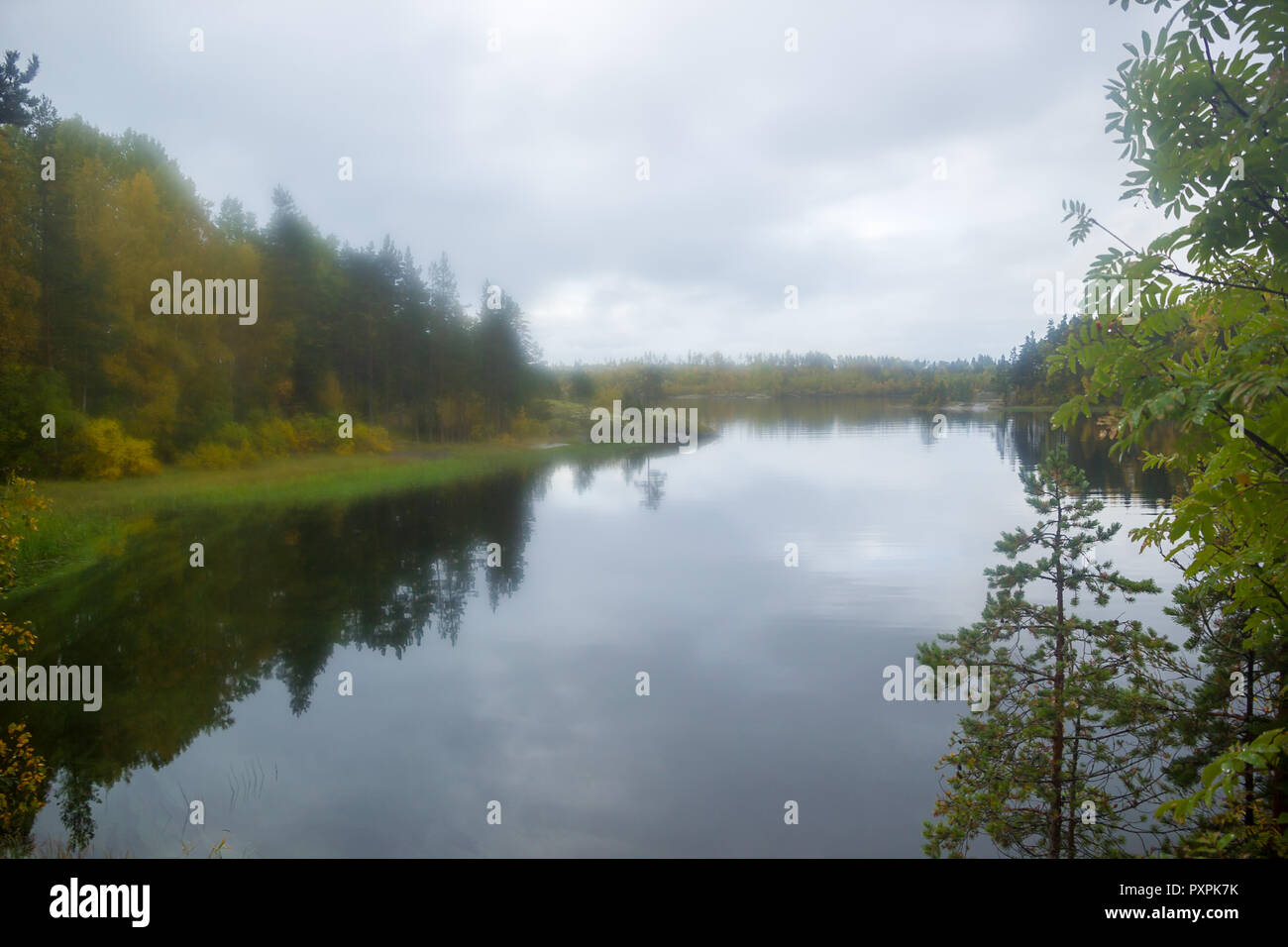 Giallo autunno al lago attraverso vetro colmi autunno acqua paesaggio di riflessione Foto Stock