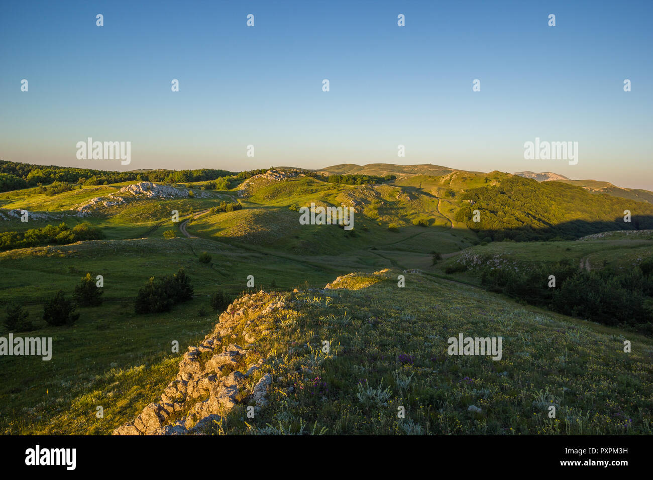 Mattina verdi colline di montagna sotto il cielo blu di Alba sullo sfondo del paesaggio Foto Stock