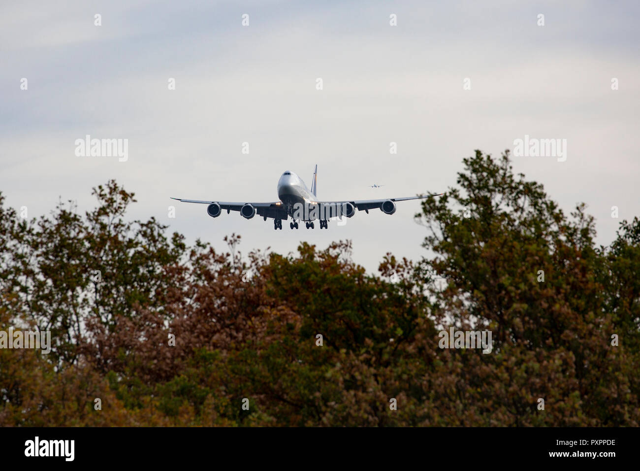 D-ABYM, Boeing 747-830 der Lufthansa als "5-Starhansa' am Flughafen Frankfurt am Main (FRA), 23.09.2018 Foto Stock