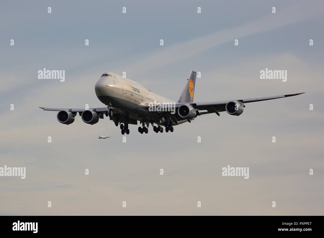 D-ABYM, Boeing 747-830 der Lufthansa als "5-Starhansa' am Flughafen Frankfurt am Main (FRA), 23.09.2018 Foto Stock