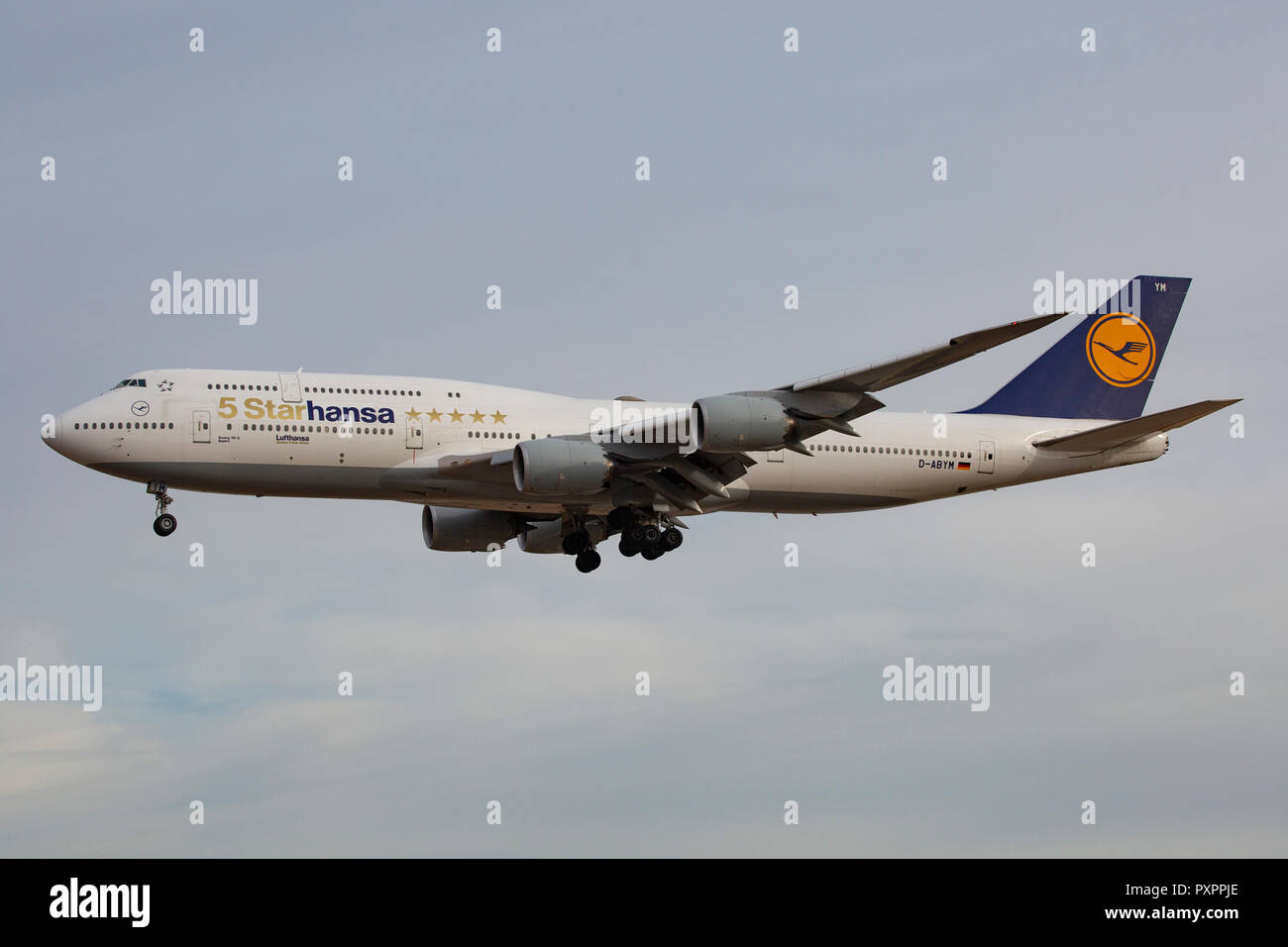D-ABYM, Boeing 747-830 der Lufthansa als "5-Starhansa' am Flughafen Frankfurt am Main (FRA), 23.09.2018 Foto Stock