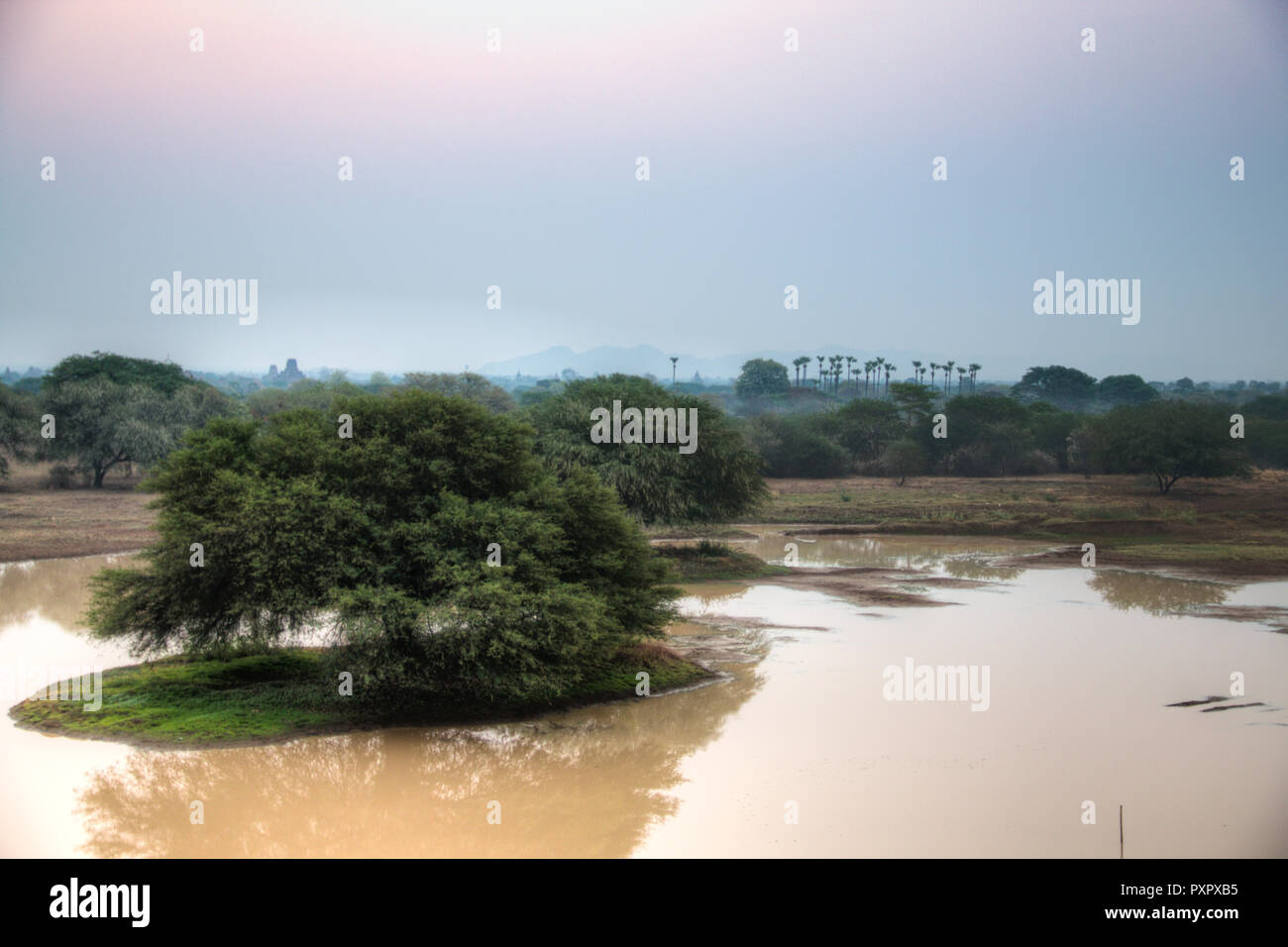 La mattina presto vista sulla pianura di Bagan, un sito storico del Myanmar Foto Stock