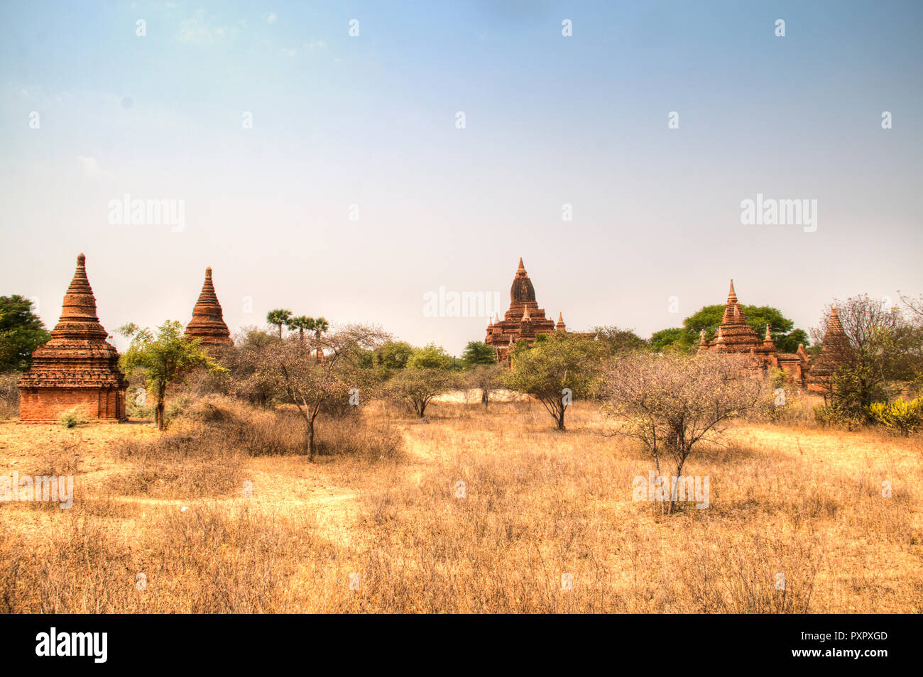 La mattina presto vista sopra i templi di Bagan, un sito storico del Myanmar Foto Stock