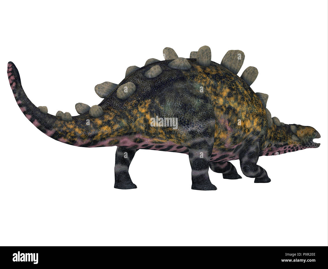 Crichtonsaurus era un ankylosaur dinosauro blindato che ha vissuto in Cina durante il Cretacico. Foto Stock