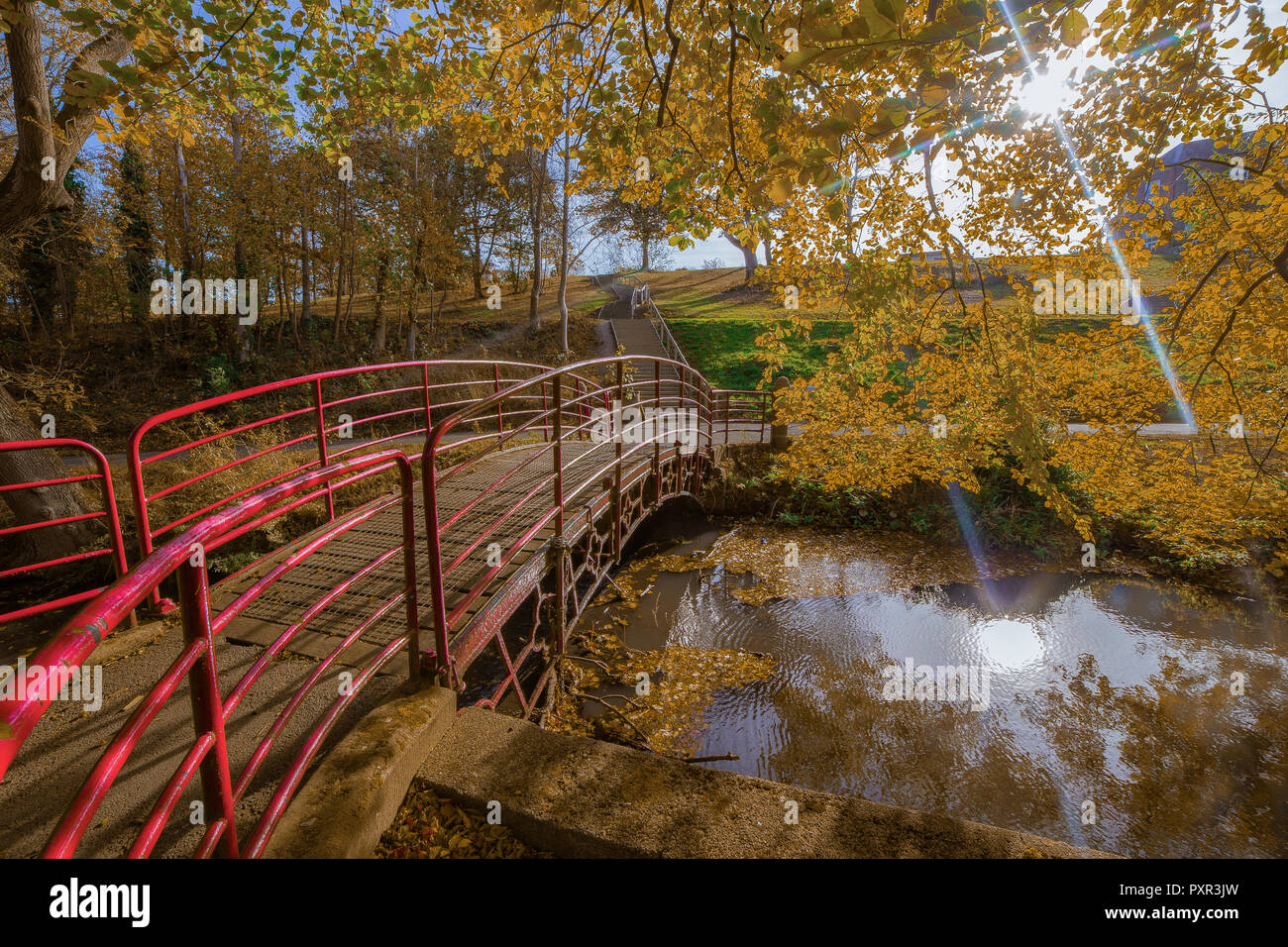 Ponte sul fiume nel parco in autunno Foto Stock