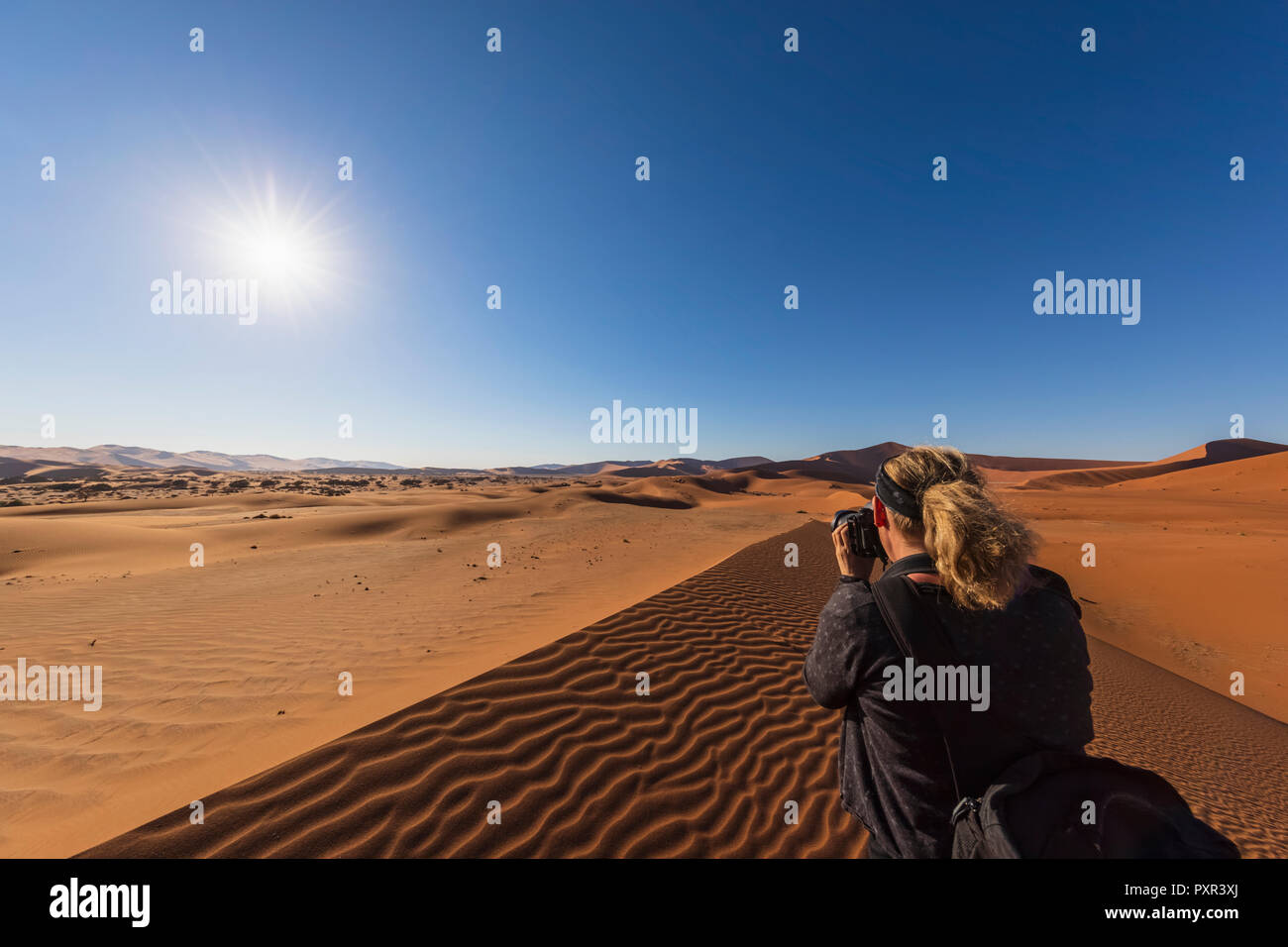 In Africa, la Namibia, il deserto del Namib Naukluft, Parco Nazionale, photograper femmina Foto Stock